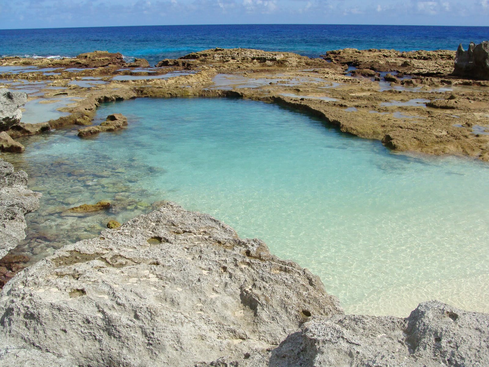 The Rota coast, from the live site of The Marianas Foundation.